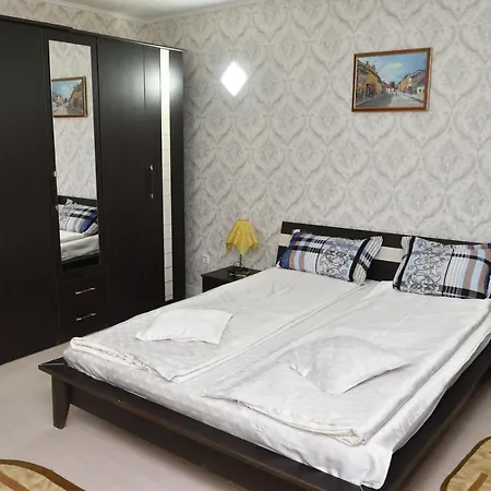 Casa Simescu Ii ホステル Caransebeş
